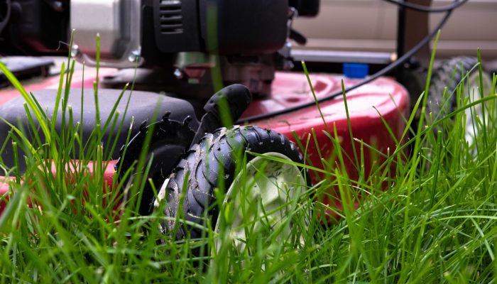 close-up-of-grass-and-mower